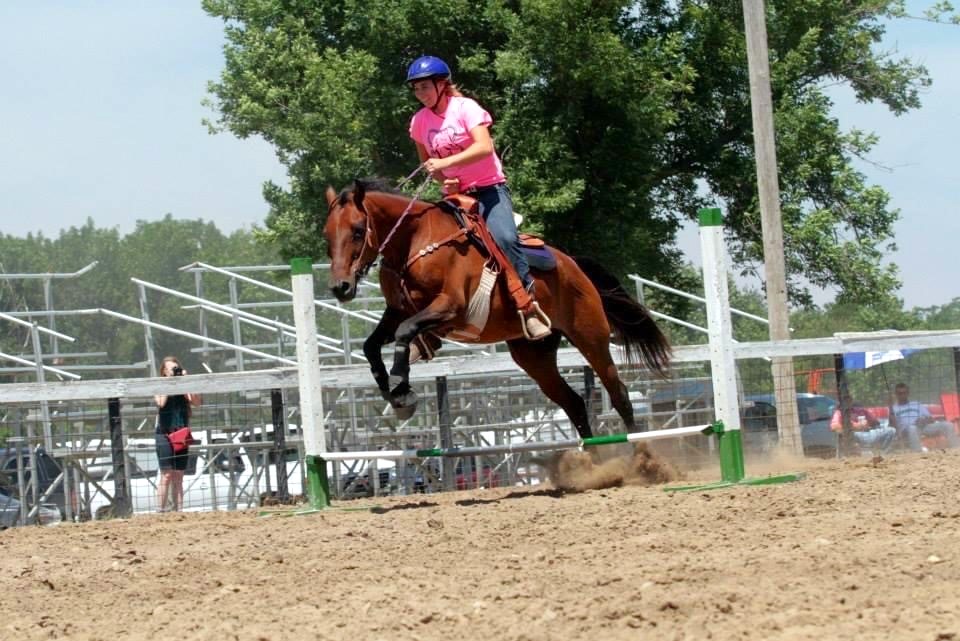 A young woman in a bright pink shirt and helmet rides a chestnut brown horse over a low jump in a fairgrounds dirt arena.