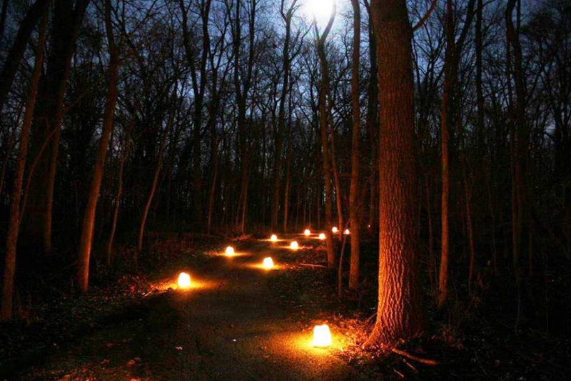 Picture of lit luminaries along a trail path.